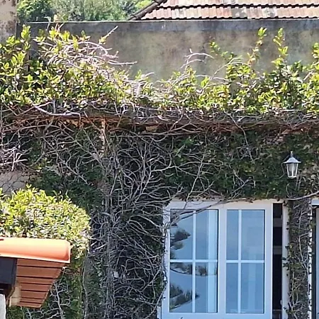 Valentina's House Holiday home